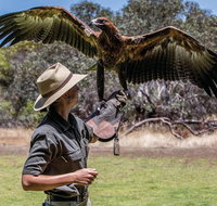 One Day Kangaroo Island Sip  See tour with return ferry transfers from Adelaide - Food Delivery Shop