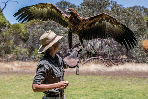 One Day Kangaroo Island Sip & See Tour With Return Ferry Transfers From Adelaide - Food Delivery Shop 0