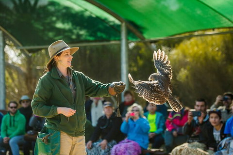 One Day Kangaroo Island Sip & See Tour With Return Ferry Transfers From Adelaide - Food Delivery Shop 3
