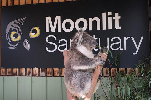 Small-Group Phillip Island Day Trip From Melbourne - Food Delivery Shop 3