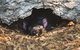 Private Tour: Phillip Island, Penguin Parade And Moonlit Sanctuary Conservation Park From Melbourne - thumb 0