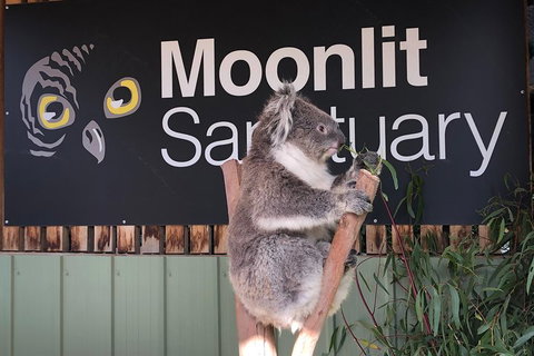 Private Tour: Phillip Island, Penguin Parade And Moonlit Sanctuary Conservation Park From Melbourne - Food Delivery Shop 3