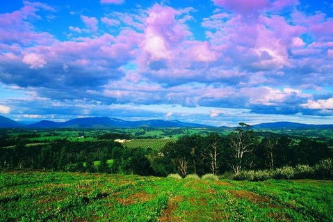 CHEVY CONVERTIBLE Package For 4 -Wine Lunch Cheese & Chocolate From Yarra Valley - Food Delivery Shop 4