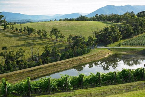 Yarra Valley Wine And Cider Tours By Classic Convertibles From Melbourne - Food Delivery Shop 1