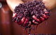 Yarra Valley Wine And Cider Tours By Classic Convertibles From Melbourne - thumb 2