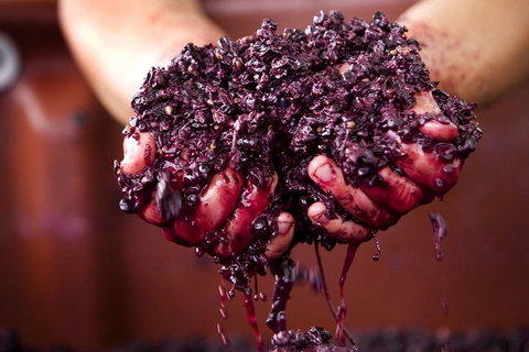 Yarra Valley Wine And Cider Tours By Classic Convertibles From Melbourne - Food Delivery Shop 2
