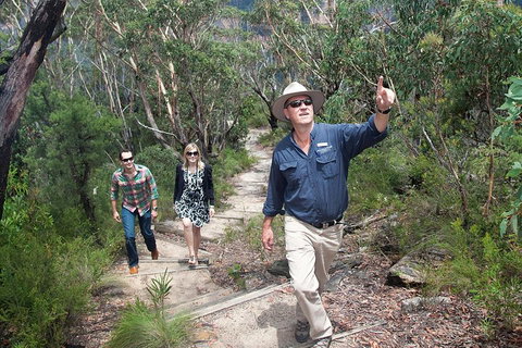 Small-Group Blue Mountains Tour With Bush Walks And Featherdale Wildlife Park - Food Delivery Shop 0