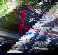 Blue Mountains Hop-on Hop-off Tour with Optional Scenic World Rides - Pet Food Australia