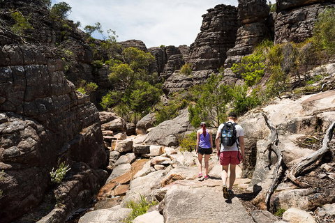 3-Day Melbourne To Adelaide Small-Group Tour Via Great Ocean Road Grampians - Food Delivery Shop 2