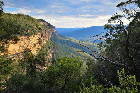 Blue Mountains Day Tour With Wildlife At Sunset From Sydney - Food Delivery Shop 5