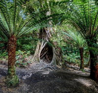 Adelaide to Melbourne 3-Day Trip through Grampians and Great Ocean Road - Food Delivery Shop