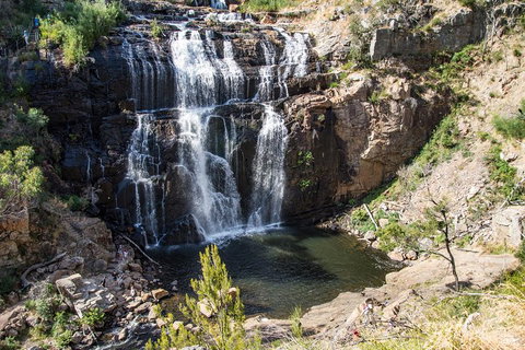 Grampians National Park With Kangaroos And MacKenzie Falls From Melbourne - Food Delivery Shop 1