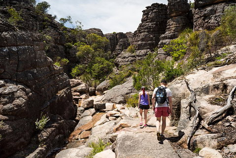 Grampians National Park With Kangaroos And MacKenzie Falls From Melbourne - Food Delivery Shop 3
