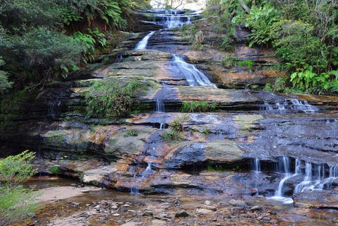 Blue Mountains Day Trip From Sydney With Amazing Lookouts (Private Tour) - Food Delivery Shop 4