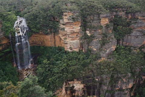 Blue Mountains Private Tour With Kangaroos & Koala Encounter - Food Delivery Shop 2