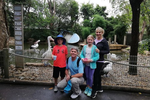 Blue Mountains Private Tour With Kangaroos & Koala Encounter - Food Delivery Shop 4