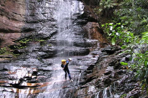 Full-Day Canyoning Experience At Stunning Empress Canyon - Pet Food Australia 0