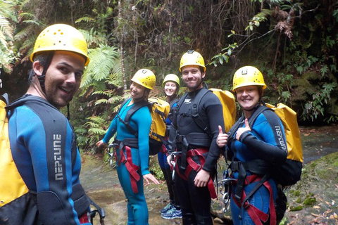 Full-Day Canyoning Experience At Stunning Empress Canyon - Pet Food Australia 1