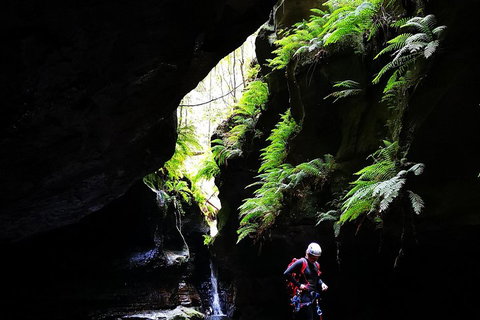 Full-Day Canyoning Experience At Stunning Empress Canyon - Pet Food Australia 2