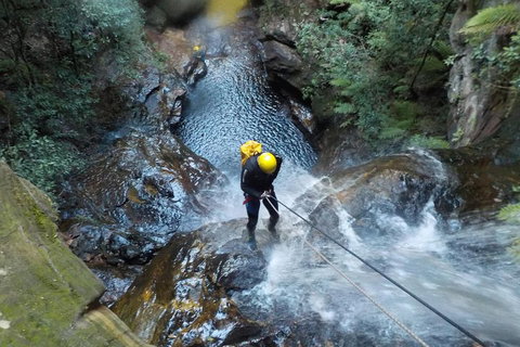 Full-Day Canyoning Experience At Stunning Empress Canyon - Pet Food Australia 4
