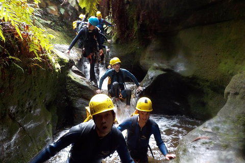 Full-Day Canyoning Experience At Stunning Empress Canyon - Pet Food Australia 5