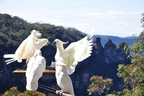 Private Blue Mountains Tour - Food Delivery Shop 1
