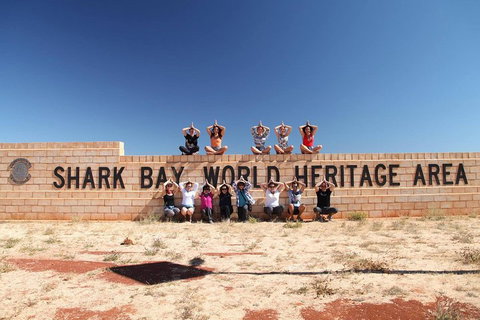 6-Day Coral Coaster From Perth To Exmouth One-Way Via Monkey Mia Ningaloo Reef - Food Delivery Shop 4