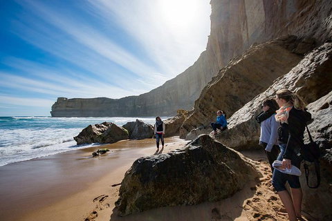 2-Day Melbourne To Adelaide Tour: Great Ocean Road And Grampians One Way Trip - Food Delivery Shop 1