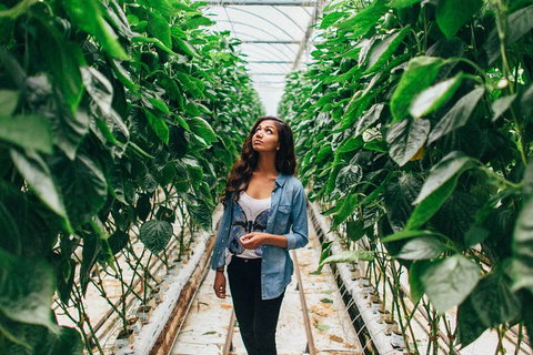 Yarra Valley Local Produce And Wine Tasting Tour - Food Delivery Shop 0