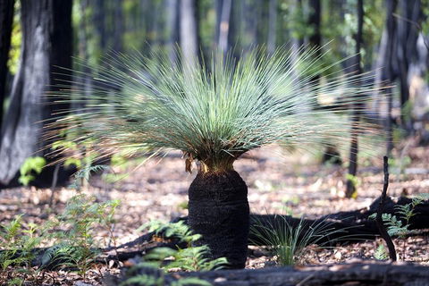 Small-Group Grampians Great Wilderness Escape Day Trip With Hiking - Food Delivery Shop 2