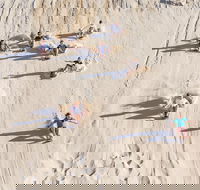 Unlimited Sandboarding - Pet Food Australia