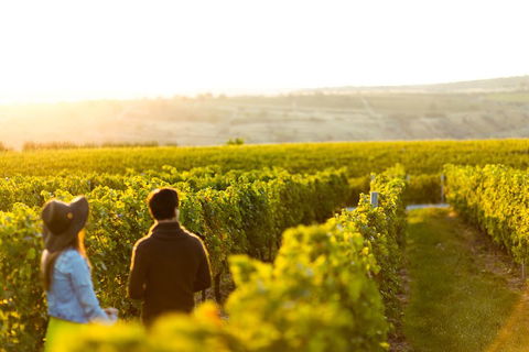 Margaret River Private Tour - Food Delivery Shop 2