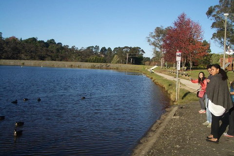 PRIVATE All-Day Blue Mountains Tour With Professional Guide For Up To 4 People - Food Delivery Shop 2