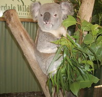 Blue Mountains Private Full-Day Tour from Sydney with Cruise - Food Delivery Shop