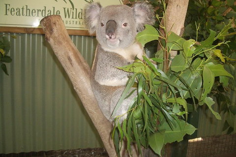 Blue Mountains Private Full-Day Tour From Sydney With Cruise - Food Delivery Shop 0
