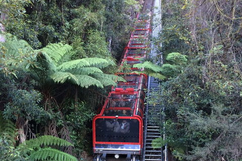 Blue Mountains Private Full-Day Tour From Sydney With Cruise - Food Delivery Shop 5