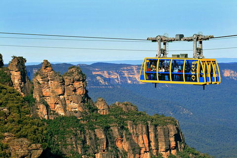 Private Blue Mountains Tour With Expert Guide - Pet Food Australia 2