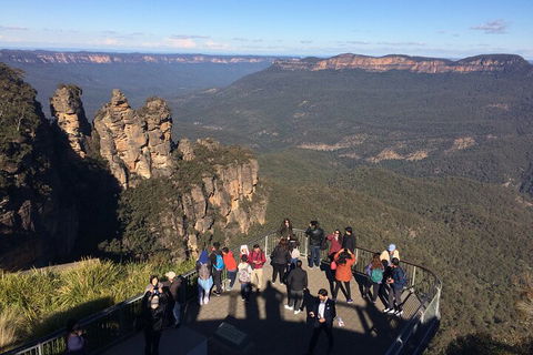 Private Blue Mountains Tour With Expert Guide - Pet Food Australia 3