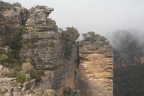 Private Blue Mountains Tour With Expert Guide - Pet Food Australia 5