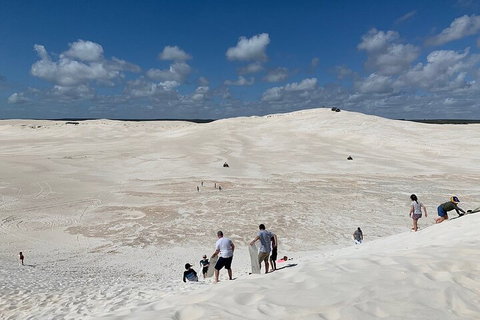 Pinnacles Day Trip From Perth Including Yanchep National Park - Food Delivery Shop 2