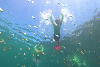 Manly Snorkel Trip and Nature Walk with Local Guide