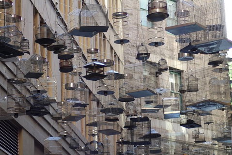Sydney Scavenger Hunt: Inside Sydney - Food Delivery Shop 0