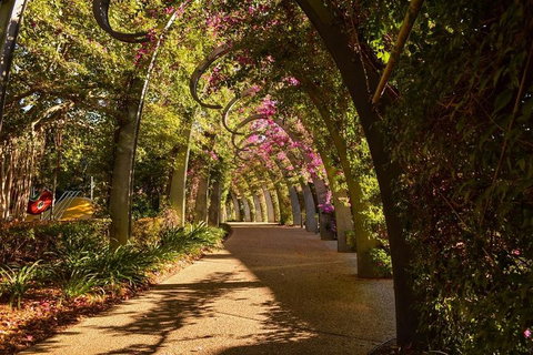 Brisbane Scavenger Hunt: Brisbane's South Bank! - Food Delivery Shop 3