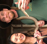 Perth Hills - Wildlife Art  Gastronomy - Food Delivery Shop