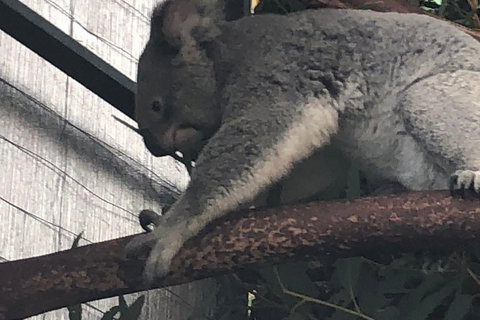 Perth Hills - Wildlife, Art & Gastronomy - Food Delivery Shop 3