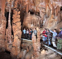 Private Tour Jenolan Caves  Blue Mountains in a day - Food Delivery Shop
