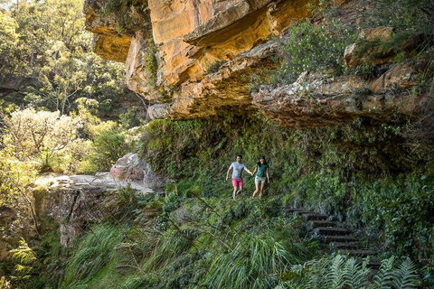 Private Guided: Blue Mountains Hiking & Nature Tour - Food Delivery Shop 2