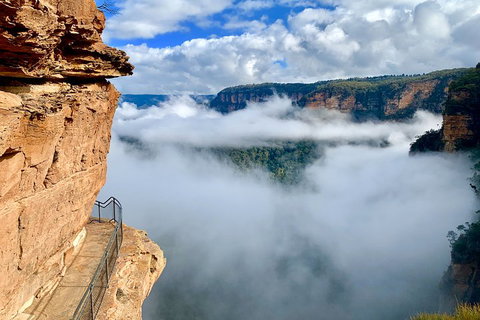 Private Guided: Blue Mountains Hiking & Nature Tour - Food Delivery Shop 5