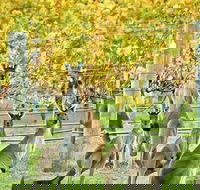 Margaret River Indulge and Discover Day Tour - Food Delivery Shop