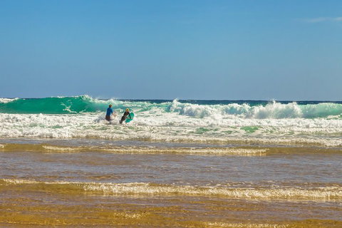 Full-Day Private Australian Wildlife Tour Of Phillip Island - Food Delivery Shop 3